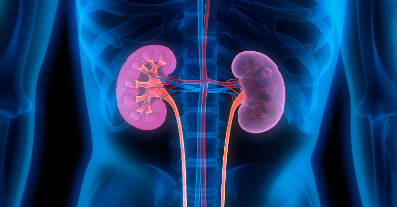 Mystery of unexplained kidney disease revealed to patients image